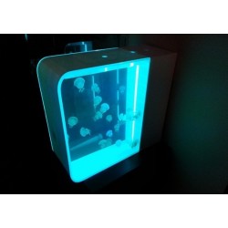 Vendo acuario de medusas cubic pulse 80