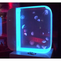 Cubic Pulse 80 acuario para medusas 80 litros blanco en venta