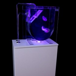 MEDUSA Medusario acrílico transparente con mueble y filtración
