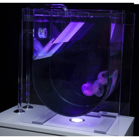 MEDUSA. Medusario transparente para colocar sobre mueble. Con tubos e iluminación. Sin filtración.