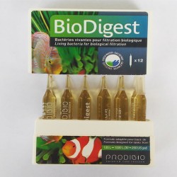 biodigest prodibio 12 unidades bacterias nitrificantes para acuario marino y de medusas